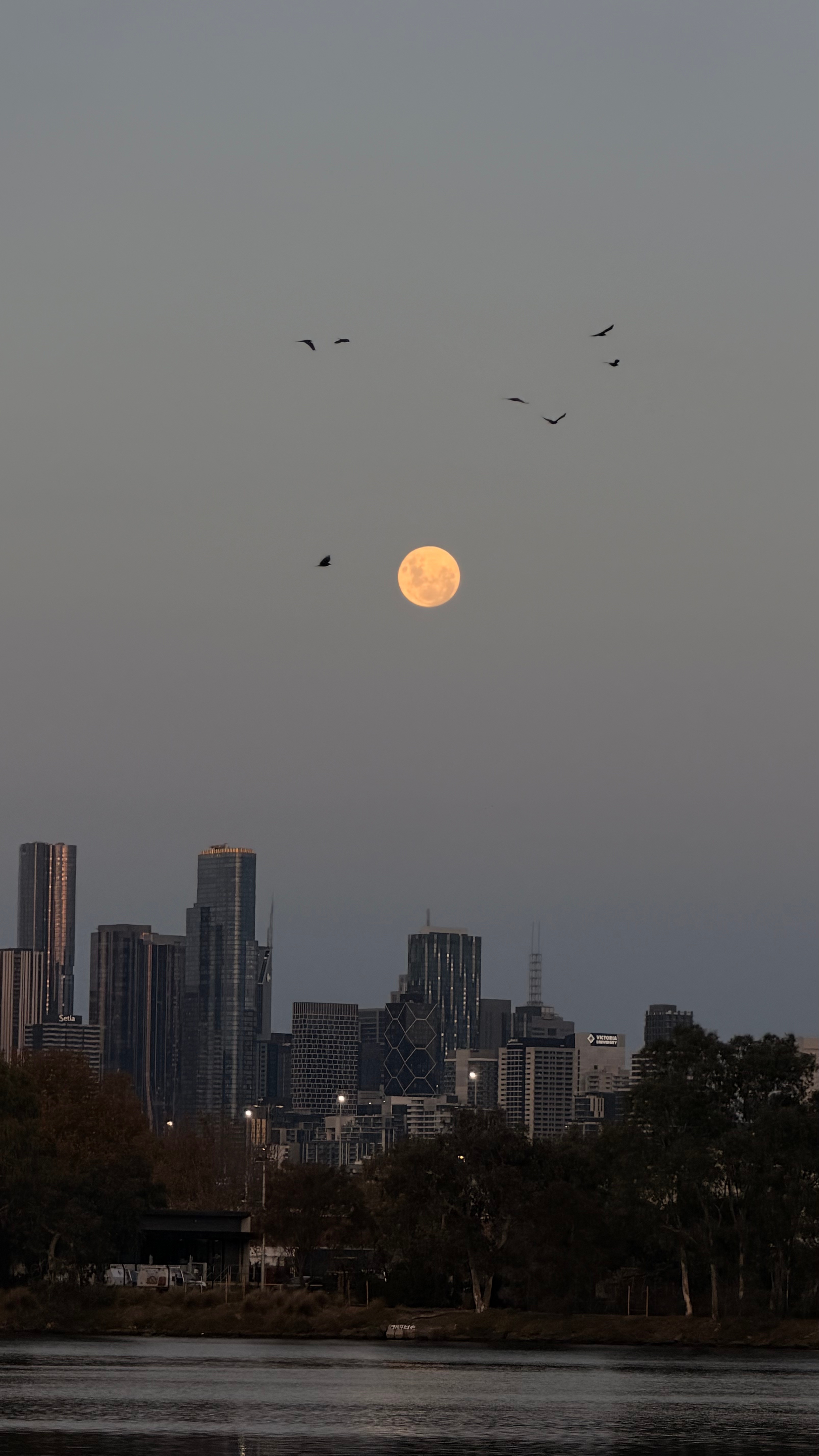 🌕 Full Moon Over the Maribyrnong: First of May